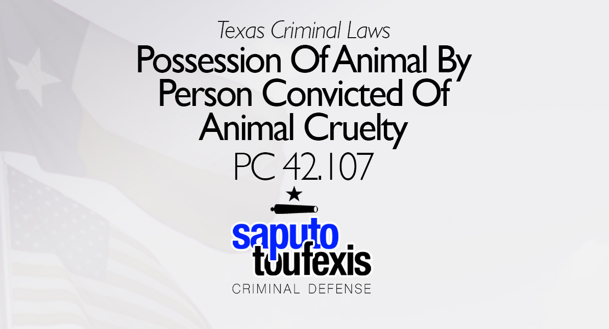 Possession Of Animal By Person Convicted Of Animal Cruelty | Penal Code 42.107 text with Texas and American Flag in background