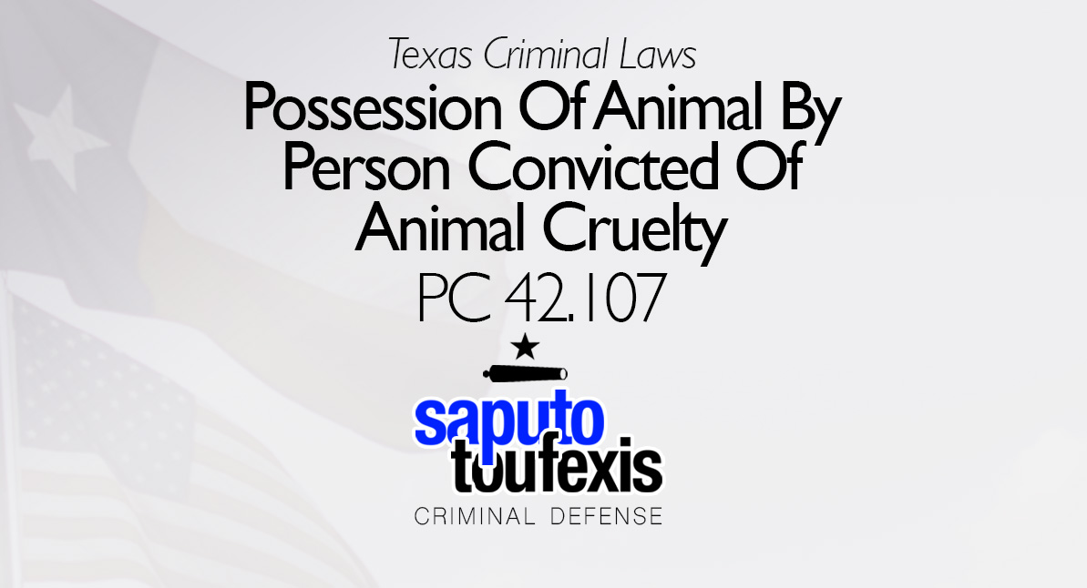 Possession of Animal By Person Convicted of Animal Cruelty Law